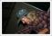 061116_ys_23.jpeg (0.054 MB)
