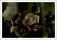 061207-ys-42.jpeg (0.054 MB)