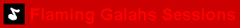 Flaming Galahs Band
